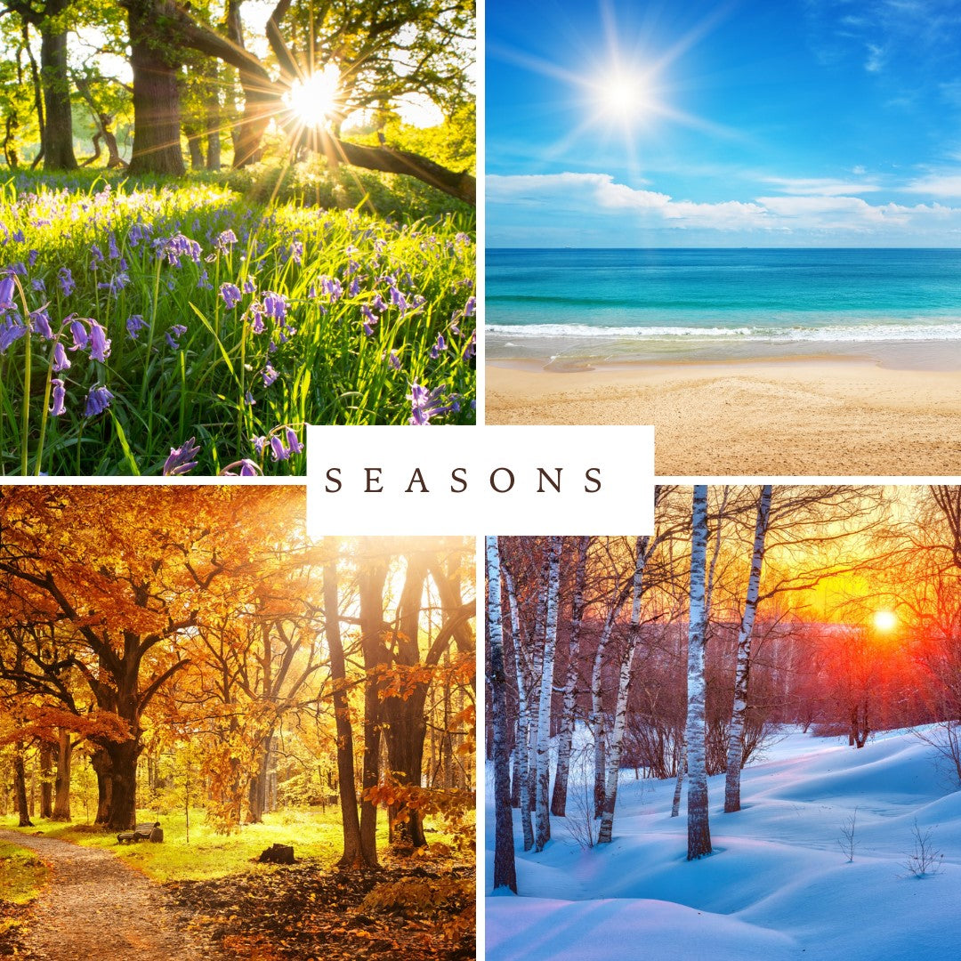 4 quarters photos of the 4 seasons